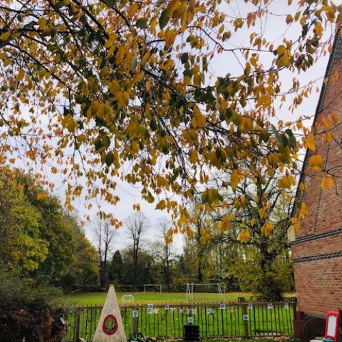 Autumngarden