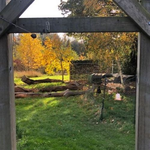 Autumn 2020