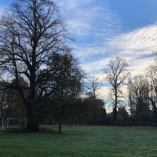 autumnplayingfield-withdewonthegrass